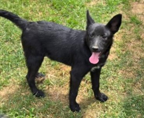 FREYA 2 sucht Familie