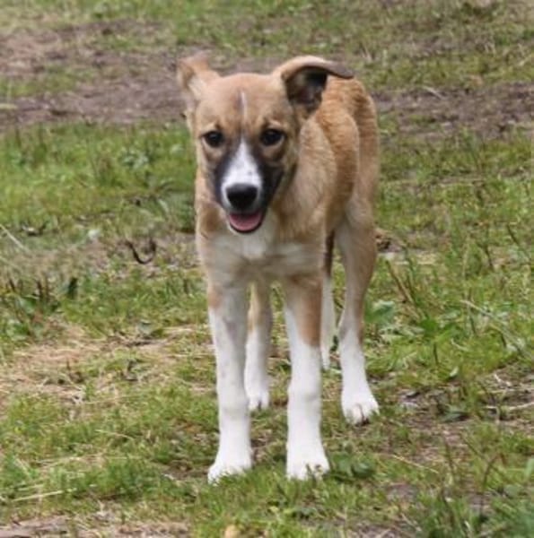 Balu(w) - wartet irgendwo meine Familie?