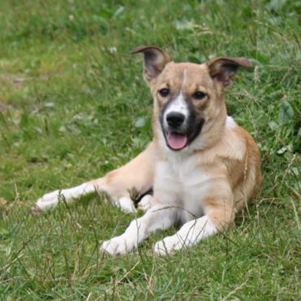 Balu(w) - wartet irgendwo meine Familie?