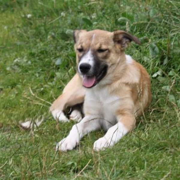 Balu(w) - wartet irgendwo meine Familie?