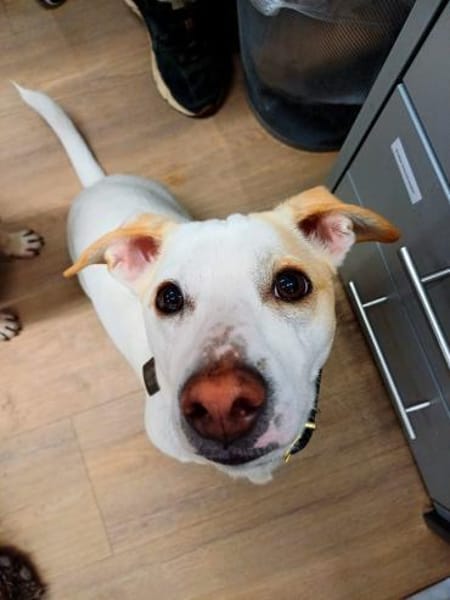 Manolo auf der Suche nach Glück 82284