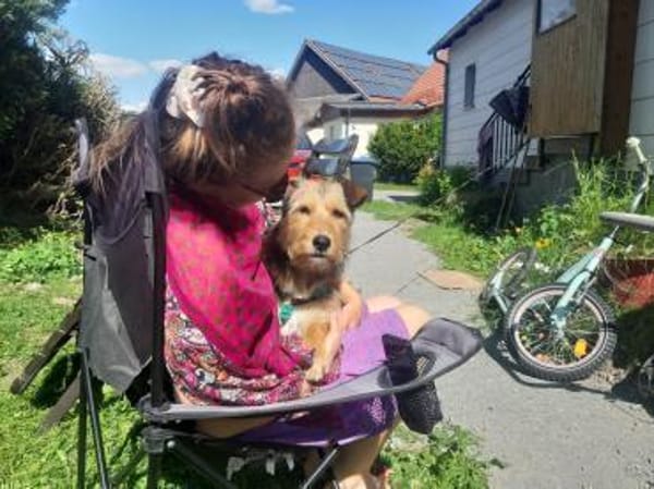 Viola- Sonnenschein mit viel Potential
