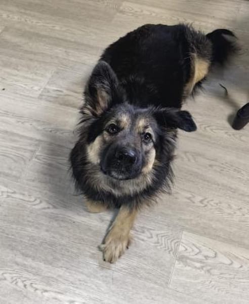 Nadenka❤sucht ihre Menschen