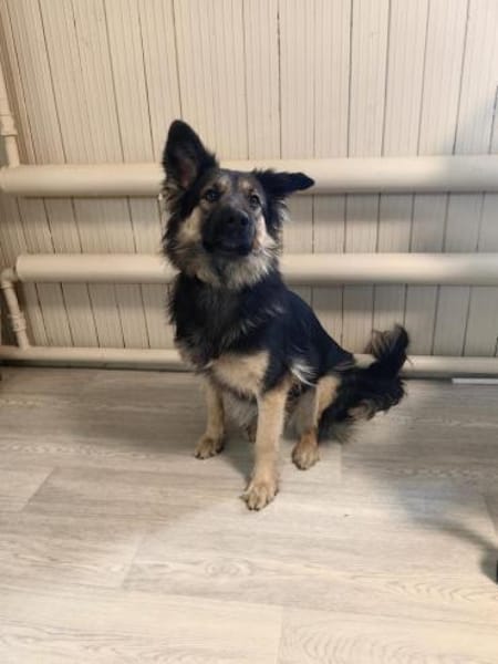 Nadenka❤sucht ihre Menschen