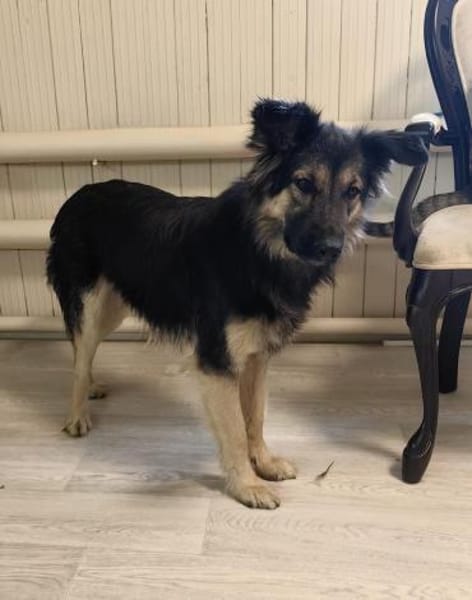 Nadenka❤sucht ihre Menschen