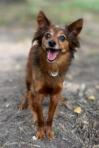 PABLO