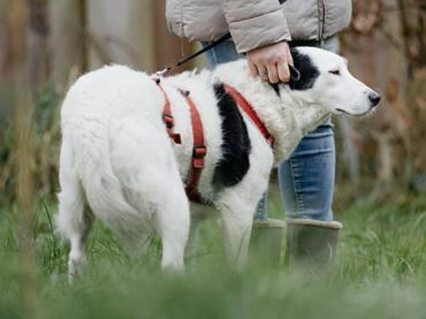 Liebenswerte Samira wünscht sich Familie