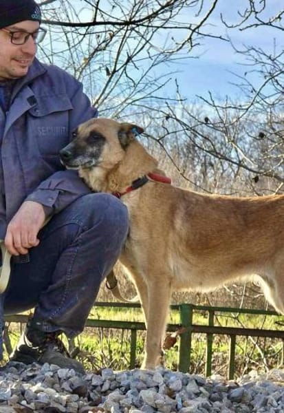 ‼ NOTFALL ‼ RUBY sucht 🆘in 91616