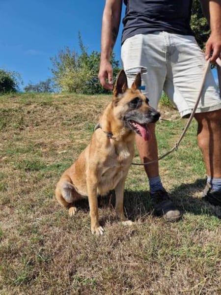 ‼ NOTFALL ‼ RUBY sucht 🆘in 91616