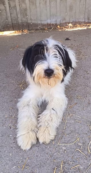 Bebi möchte endlich eine Familie