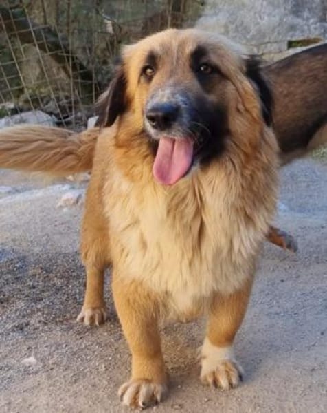 Besuche Grace in 86825 Bad Wörishofen ❤