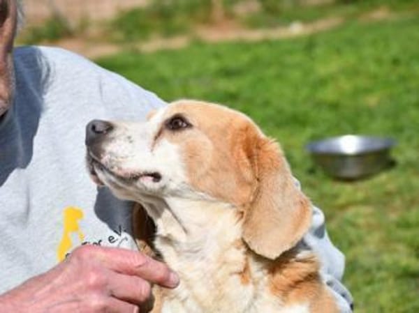 Geben Sie Senior Boston eine Chance?