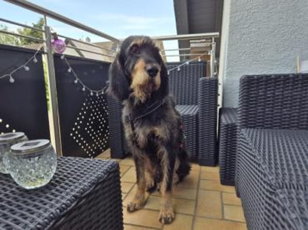 Blaster hat etwas Glück verdient