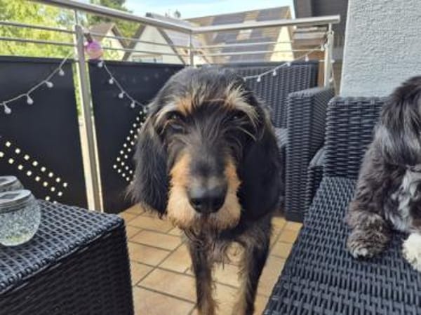 Blaster hat etwas Glück verdient
