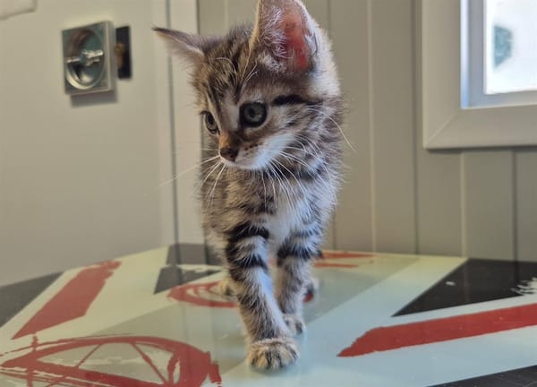 Amaretto