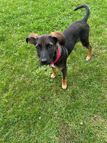 CANDY sucht ihre Lieblingsmenschen