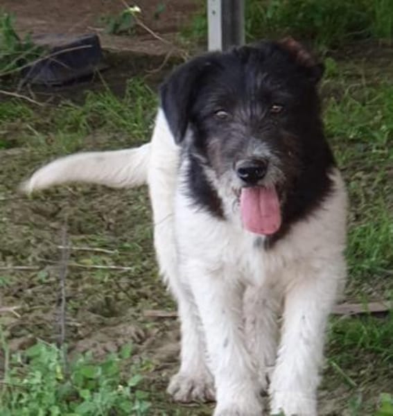Oskar will die Welt entdecken