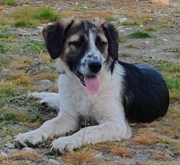 Bruno will die Welt entdecken