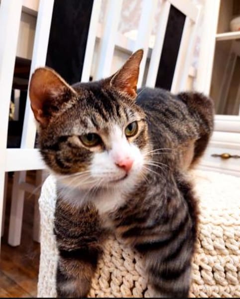 Lucky - hier ist der Name Programm