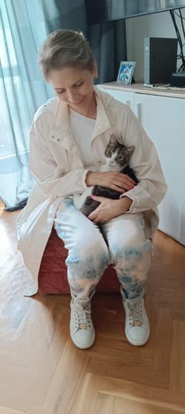 ❗Notfall Simba - Pflegestelle gesucht❗
