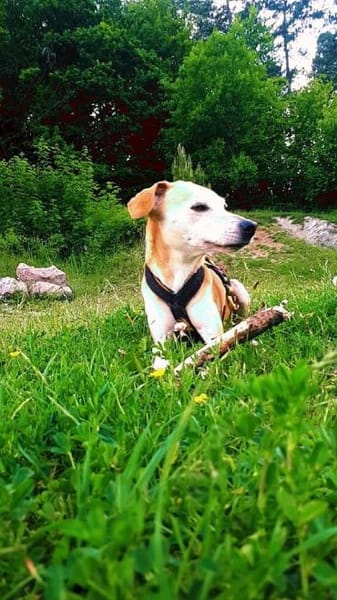 Masha❤sucht Pflege- oder Endstelle