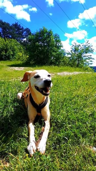 Masha❤sucht Pflege- oder Endstelle