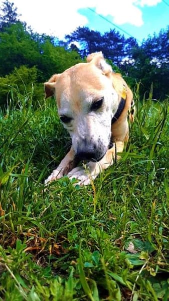 Masha❤sucht Pflege- oder Endstelle