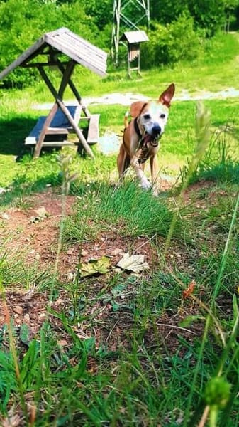 Masha❤sucht Pflege- oder Endstelle