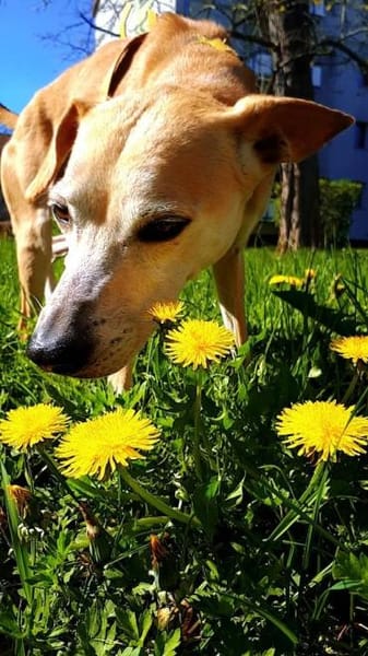 Masha❤sucht Pflege- oder Endstelle