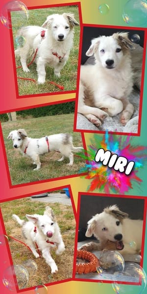 Hübsche Miri wartet auf Besuch!