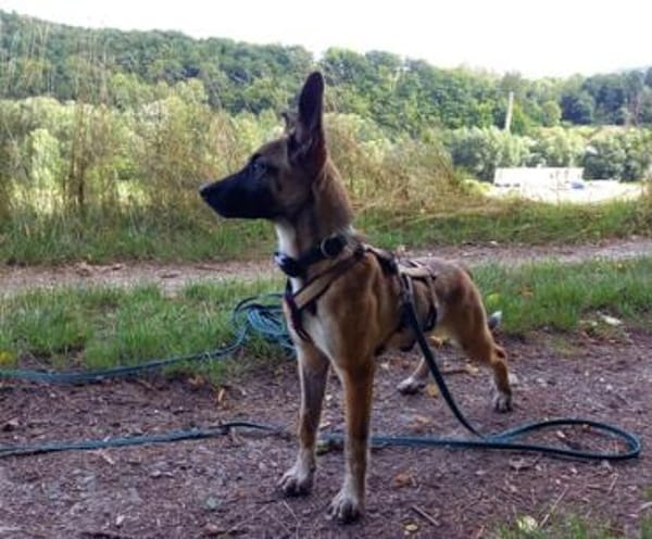 Hier kommt Peggy