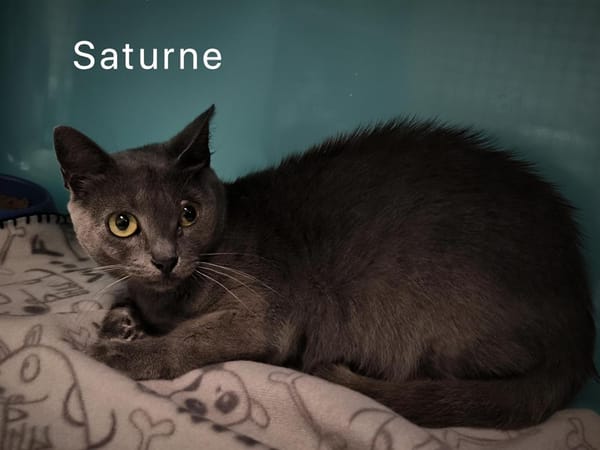 Saturne