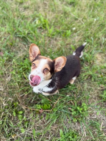 Mimi