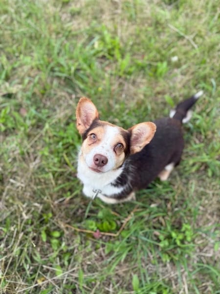 Mimi