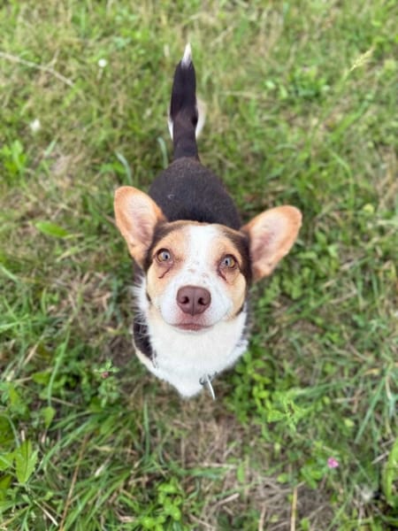 Mimi