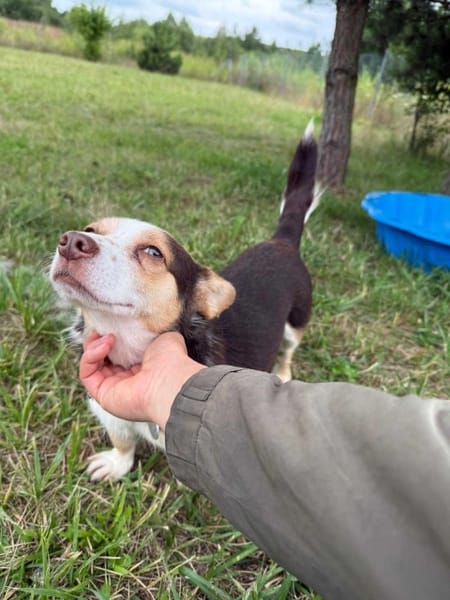 Mimi