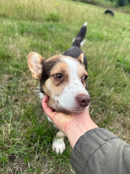Mimi