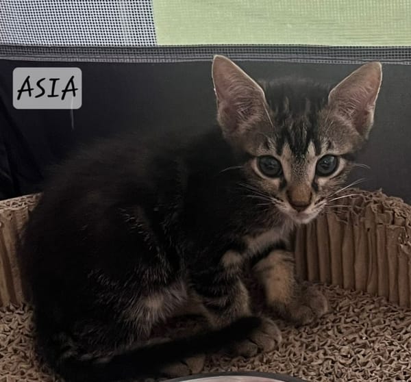 Asia