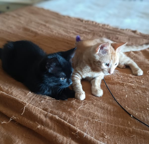 ARTI ET AZUR