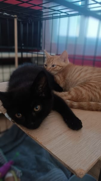 ARTI ET AZUR