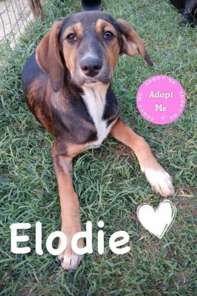 💕Elodie💕 sucht ihr großes Glück