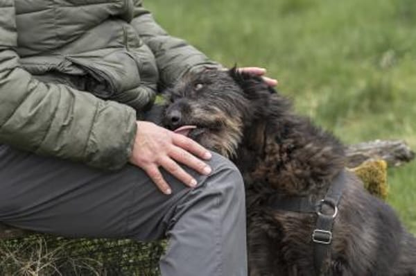 Lotte - eine Seele mit grossem Herzen