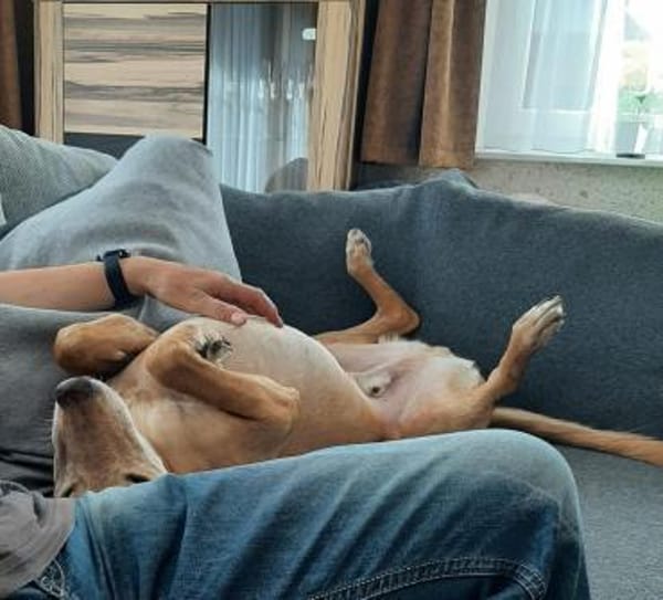 Lucky wartet schon zu lange