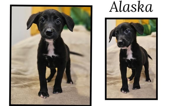 Alaska