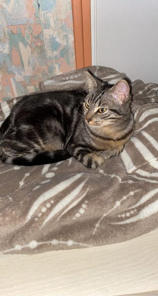 NALA