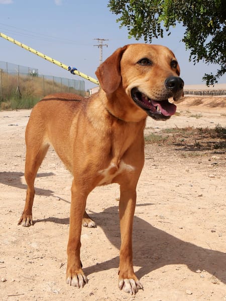 WINNIE (Maria)