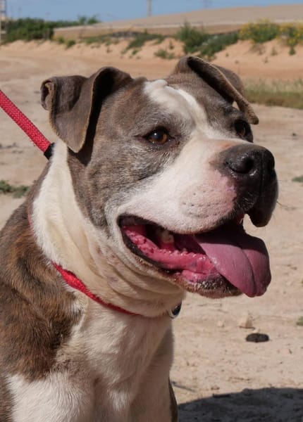 KRYPTO (Maria)