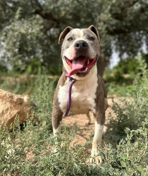 KRYPTO (Maria)