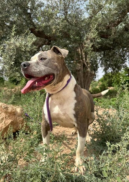 KRYPTO (Maria)