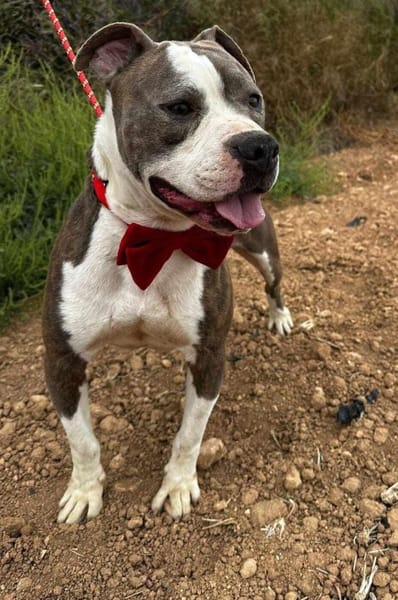 KRYPTO (Maria)